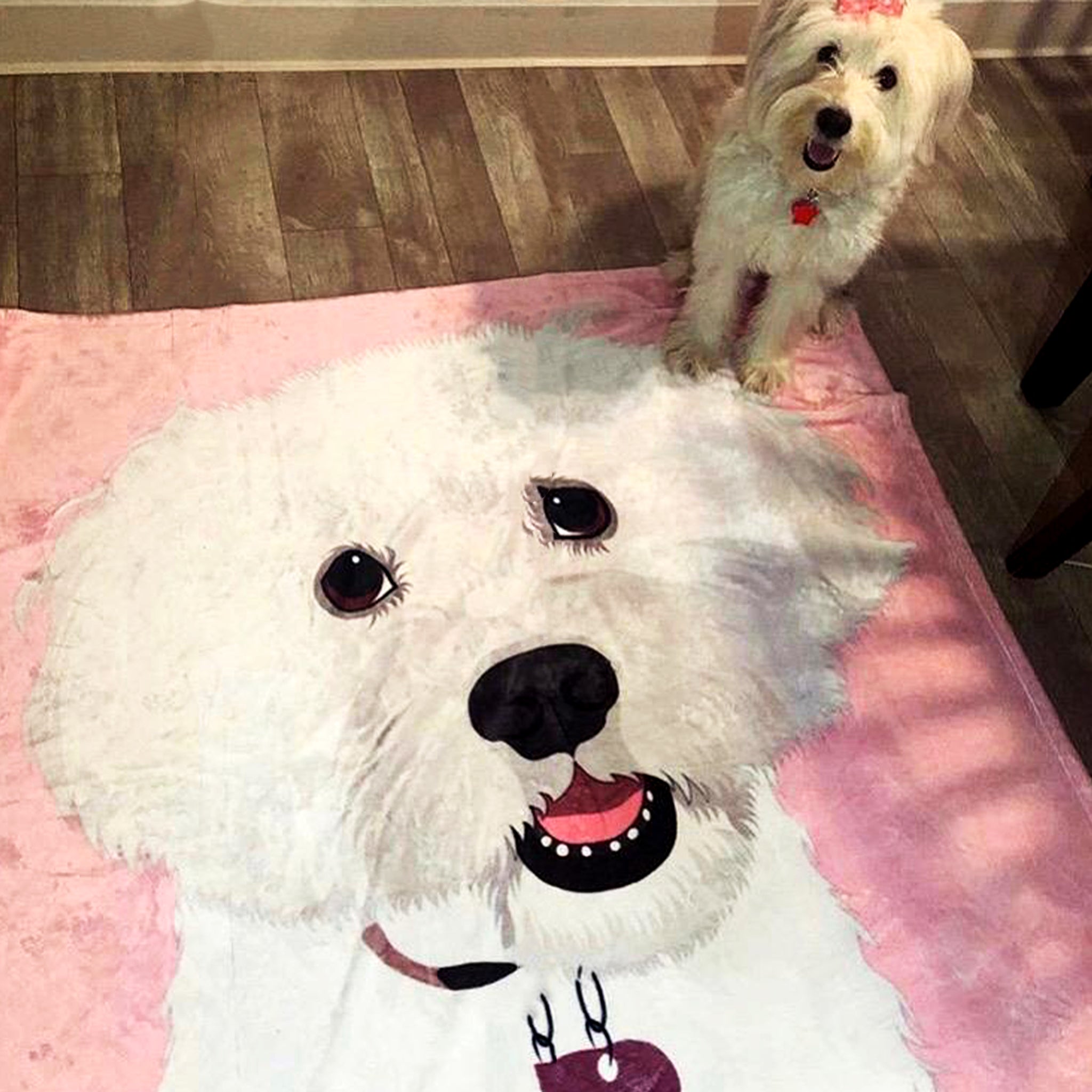 Custom Pet Fleece Blanket with FREE Custom Decal