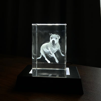 Personalized 3D Pet Photo Rectangular Crystal - Not Just For Pets!