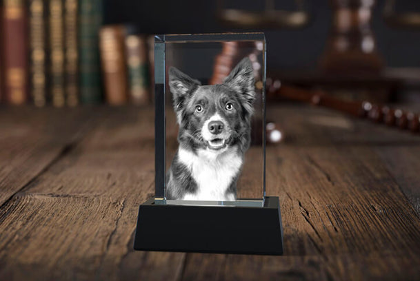 Personalized 3D Pet Photo Rectangular Crystal - Not Just For Pets!