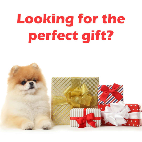 Gift Guides For Everyone