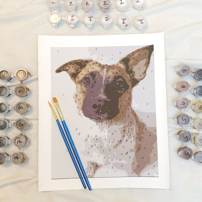 Customized Pet Paint by Numbers, Not Just For Pet Pictures