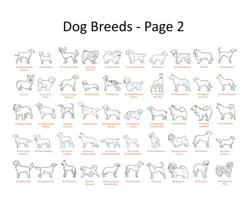 Hand Made Dog Necklace with Name