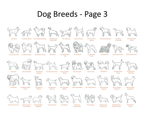 Hand Made Dog Necklace with Name