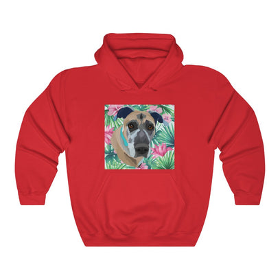 Custom Men's/Women's Hoodie (unisex)