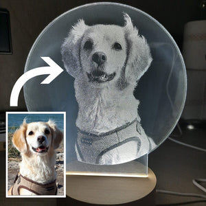 Custom Acrylic Pet Photo Lamp