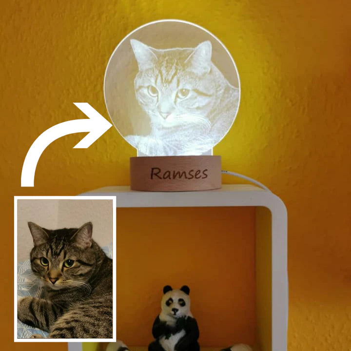 Custom Acrylic Pet Photo Lamp