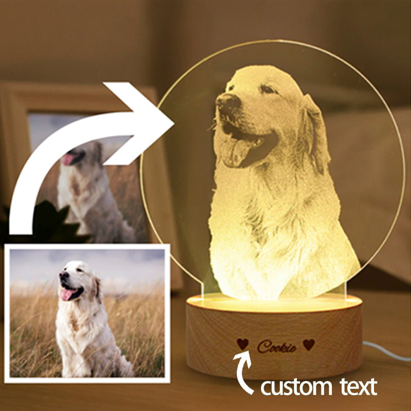 Custom Acrylic Pet Photo Lamp