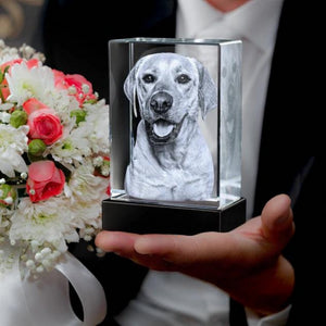 Personalized 3D Pet Photo Rectangular Crystal - Not Just For Pets!