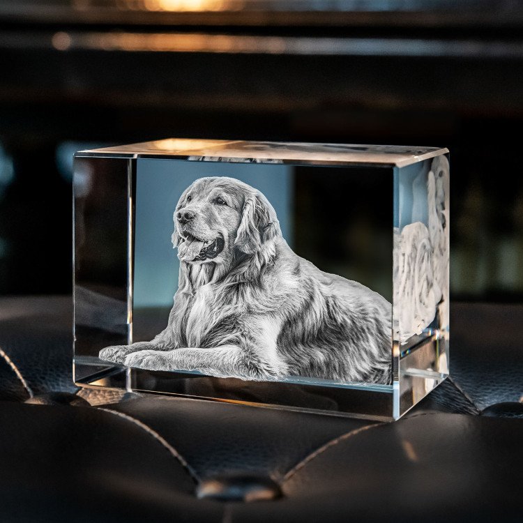 Personalized 3D Pet Photo Rectangular Crystal - Not Just For Pets!