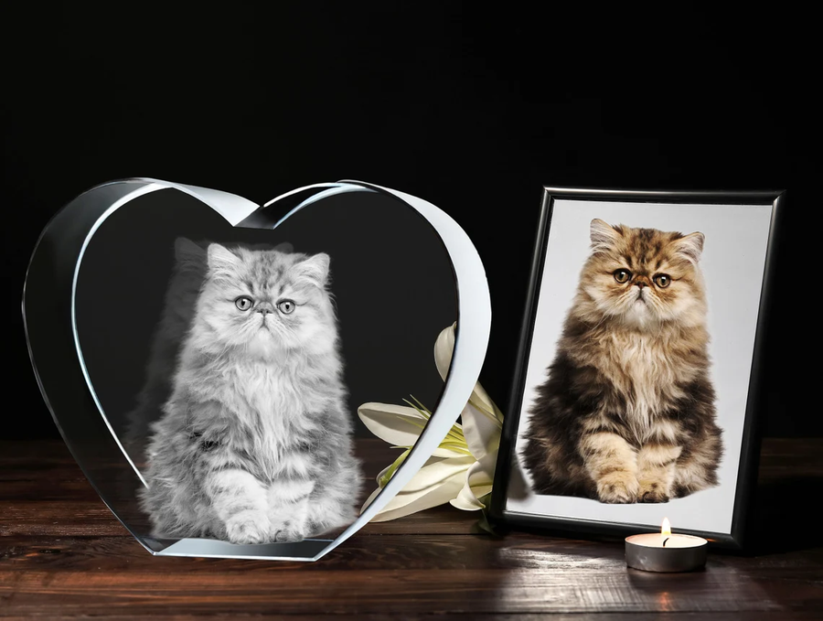 Personalized 3D Pet Photo Heart Shaped Crystal - Not Just For Pets! (With Free Custom Socks)