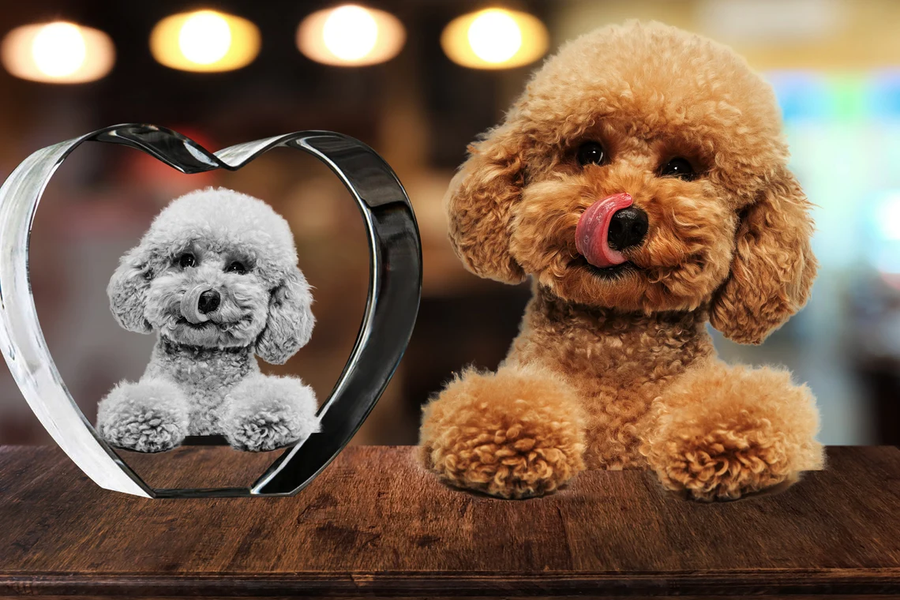 Personalized 3D Pet Photo Heart Shaped Crystal - Not Just For Pets! (With Free Custom Socks)