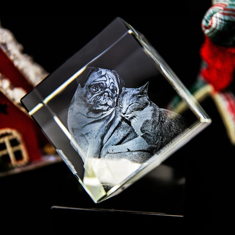 Personalized 3D Pet Photo Cube Crystal - Not Just For Pets!