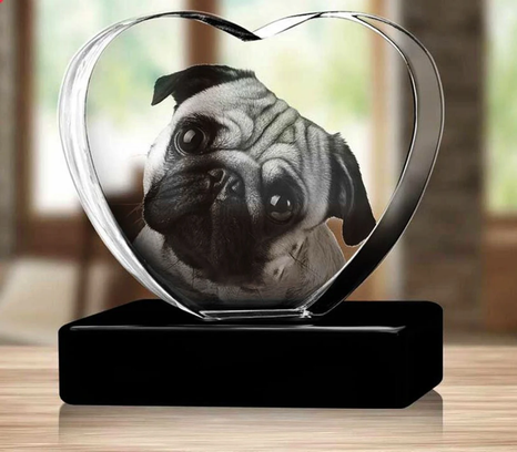 Personalized 3D Pet Photo Heart Shaped Crystal - Not Just For Pets! (With Free Custom Socks)