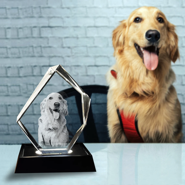 Personalized 3D Pet Photo Iceberg Crystal - Not Just For Pets!