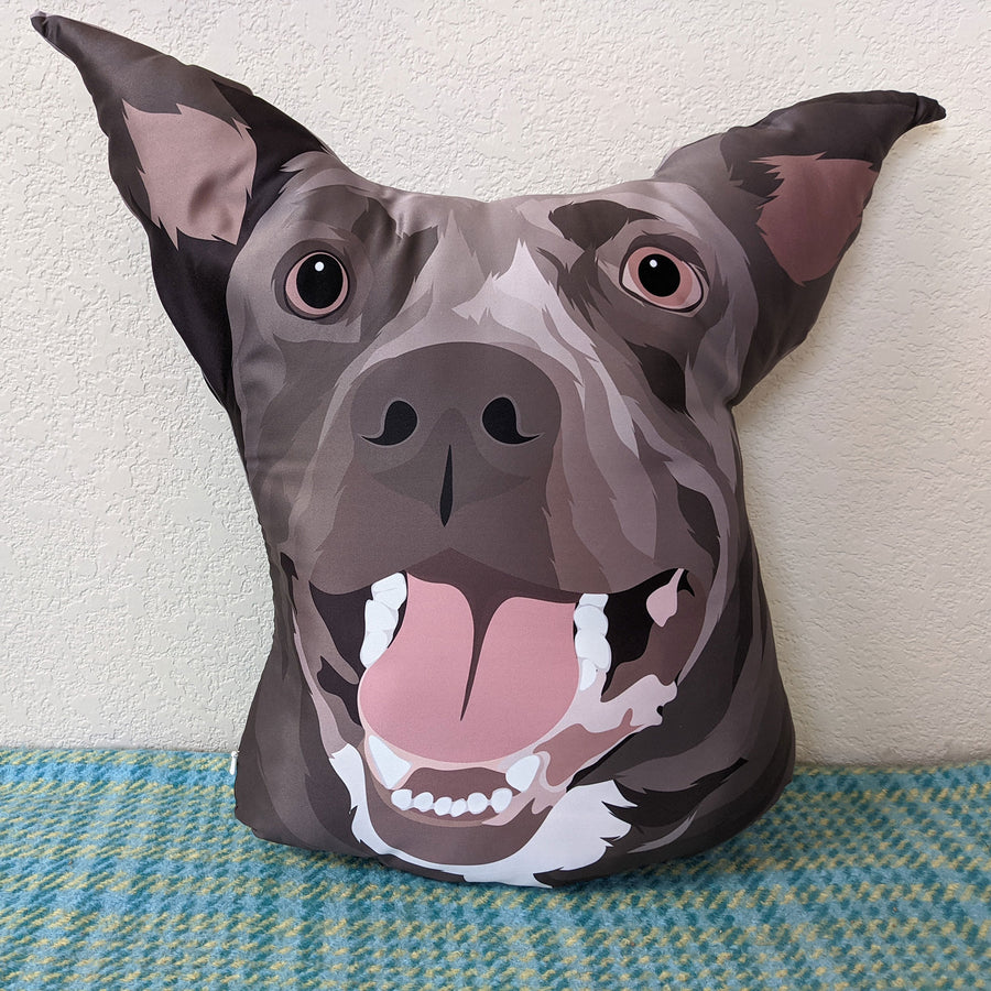 Custom 3d Pet Shaped Pillow