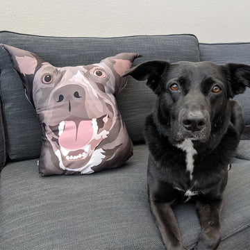 Custom 3d Pet Shaped Pillow