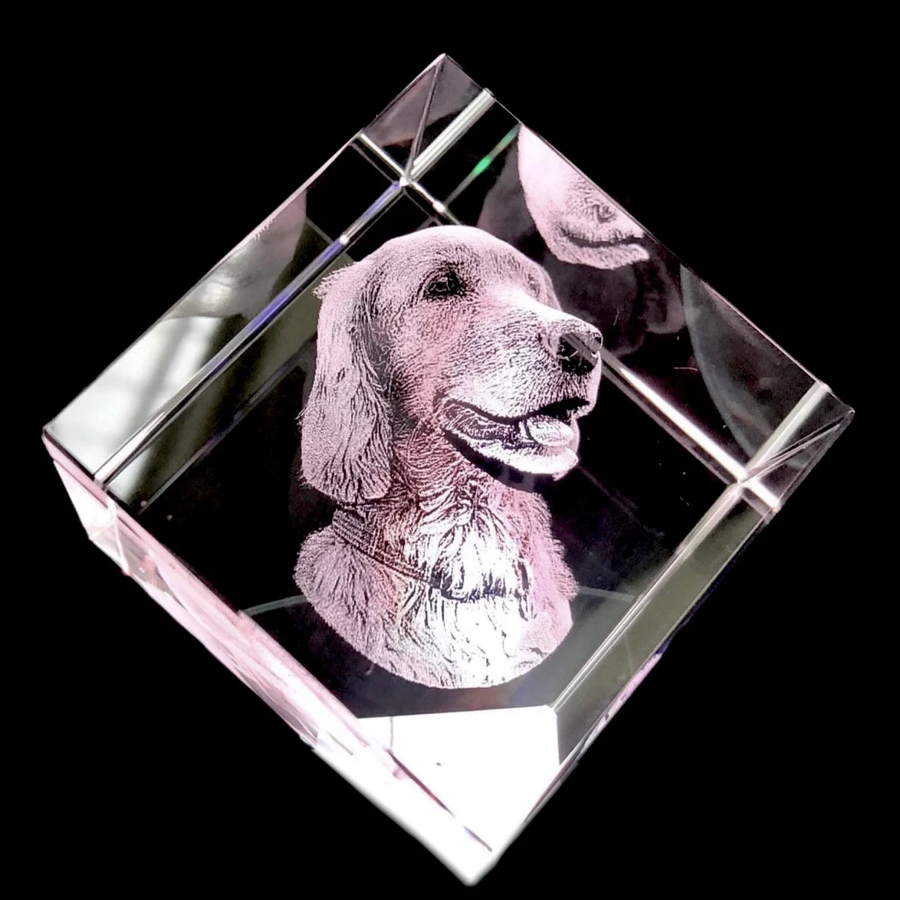 Personalized 3D Pet Photo Cube Crystal - Not Just For Pets!