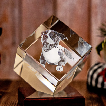Personalized 3D Pet Photo Cube Crystal - Not Just For Pets!