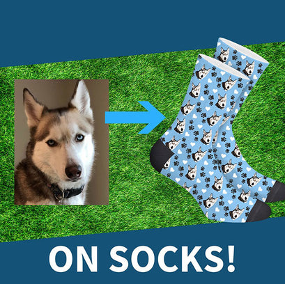 Custom Crazy Pet Socks