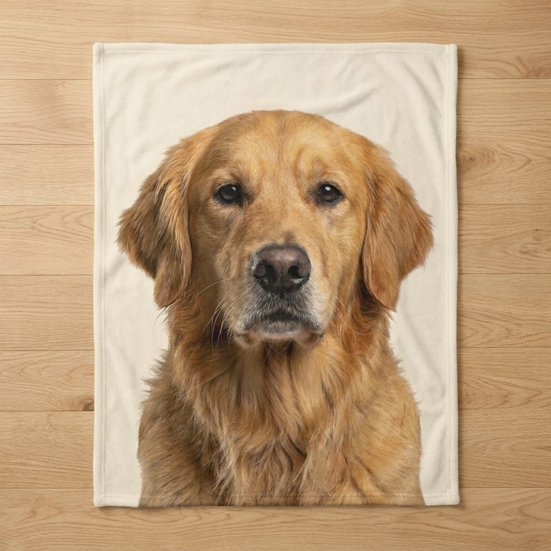 The same pet on a blanket